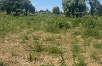 Zemljišče 4000 m² v Ližnjanu, T2 območje