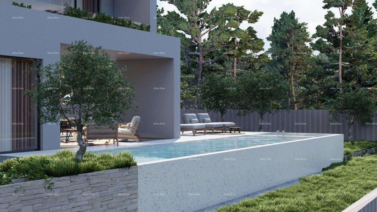 Tinjan – Gradbena parcela 1.152 m² z dovoljenjem in projektom za hišo s bazenom 5