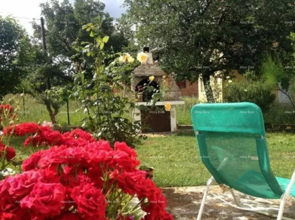 Samostojna hiša z apartmaji! 11