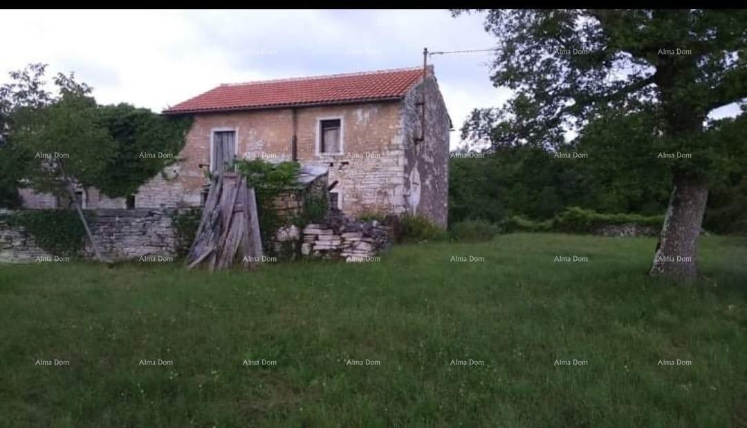 Casa in pietra d'Istria in vendita, Oprtalj 10