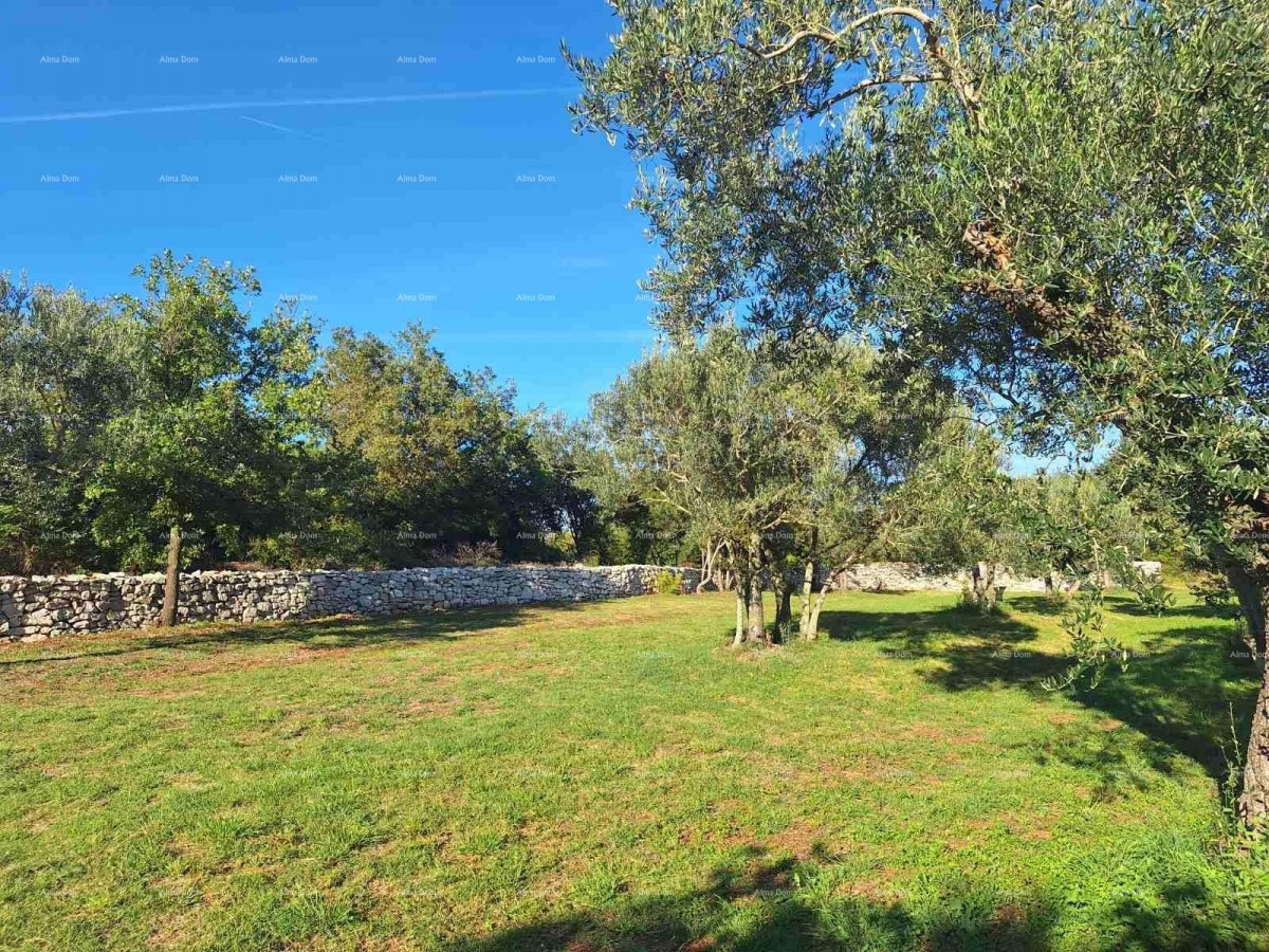 POLJOPRIVREDNO zemljište u blizini mora, Peroj-prodaja! 5