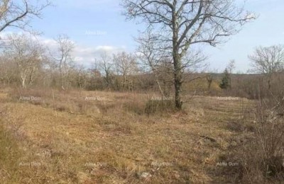 Mužići. Sale of construction land in Grožnjan