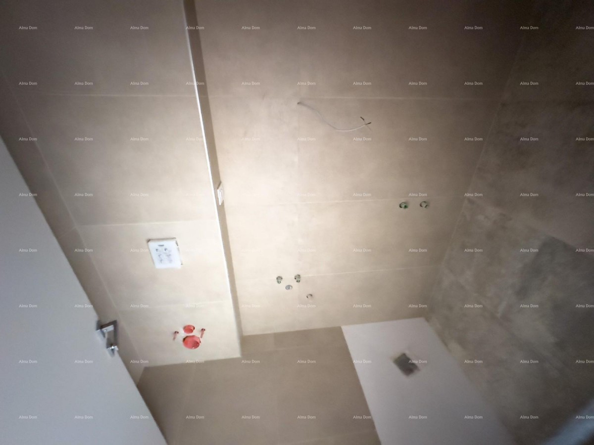 Prodajemo stan sa  vrtom u Barbanu. 6