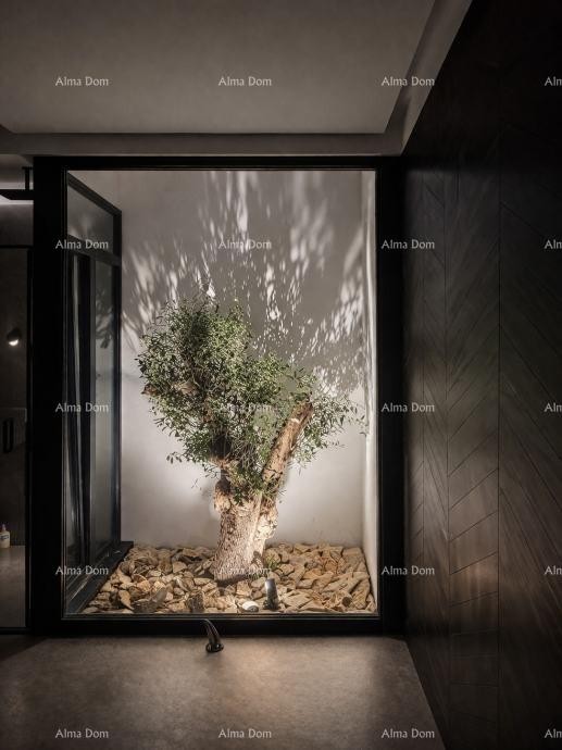 In vendita casa al piano terra in una zona tranquilla di Labin 12