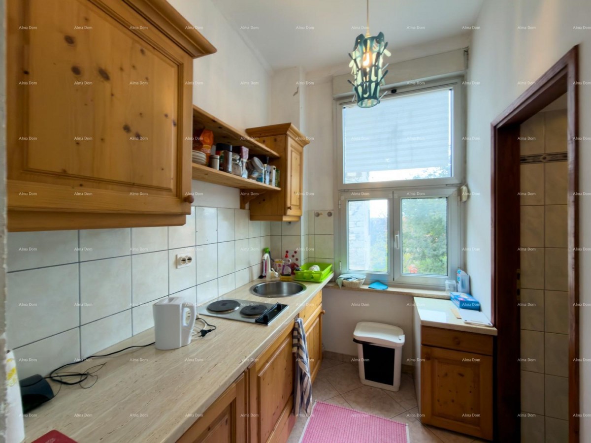 One bedroom apartment in Pula for sale 6