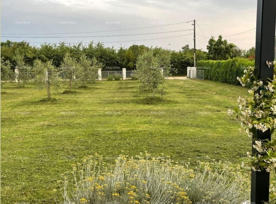 Радеки Главица, Лоборица – Дом с земельным участком, оливковой рощей и фруктовым садом 3