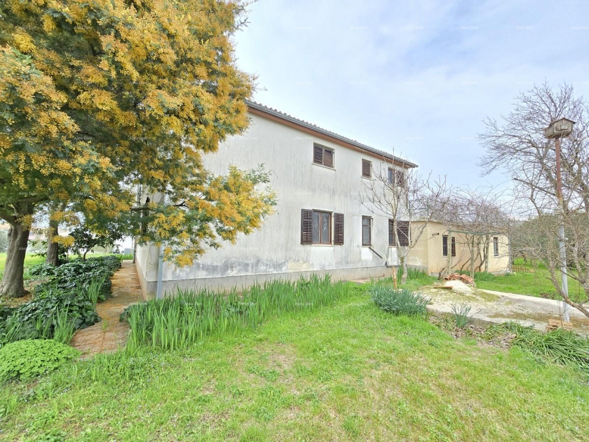 Casa spaziosa vicino a Pola! Due appartamenti - 2500 m² di terreno! 1
