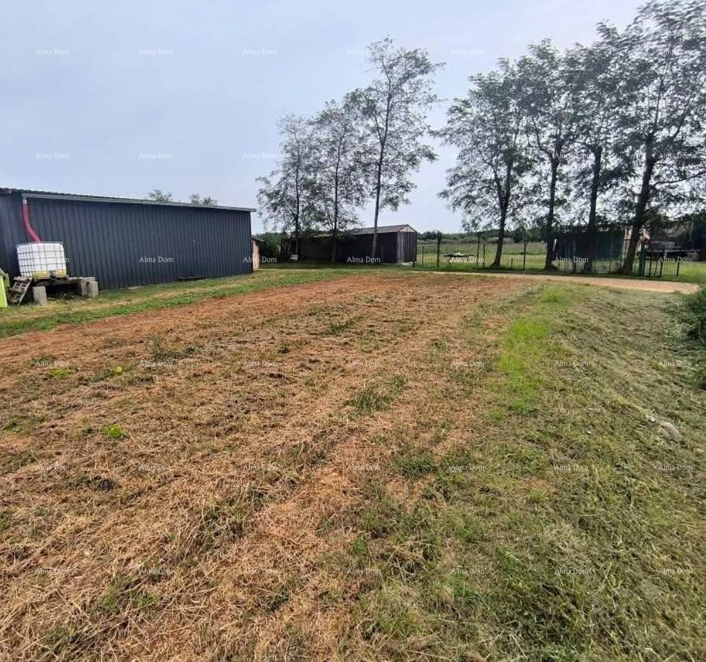 Sale - construction land with a conceptual project near Karigador, Brtonigla! 1