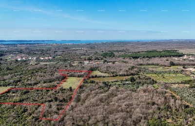 GALIŽANA - Ampio terreno agricolo in vendita – 20.498 m², posizione eccellente