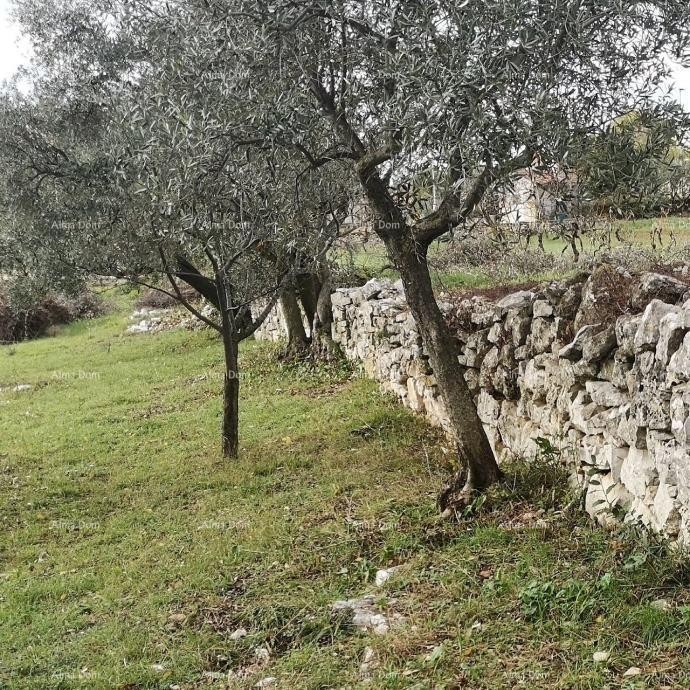 Prodaja građevinskog zemljišta sa pogledom na more, Fažana! 4
