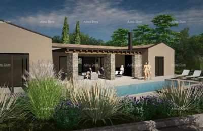 Sale - construction land with a project for building a single-story villa, Žminj V1