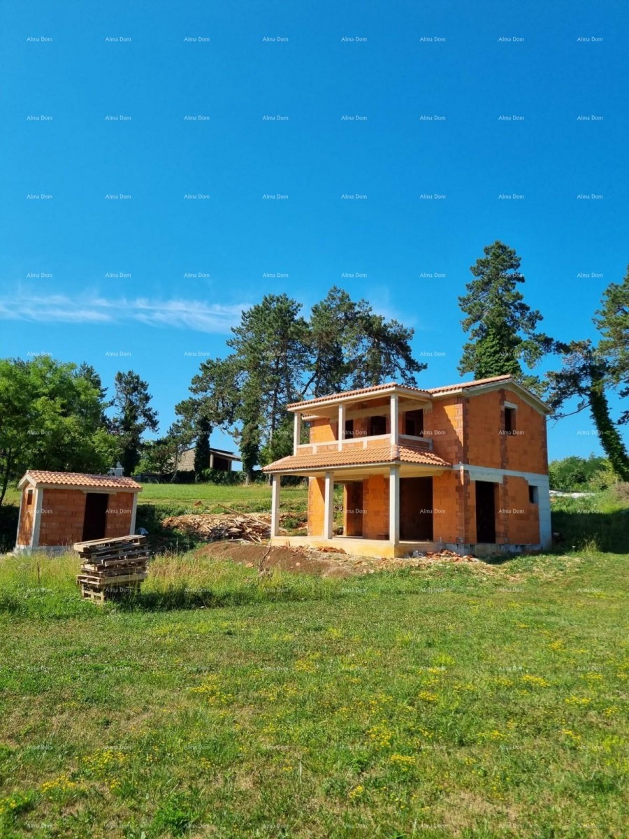 House Pazin 14