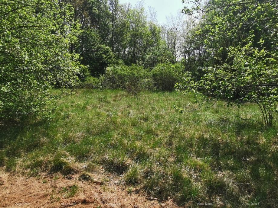 Prodaje se građevinsko zemljište, 1817m2, sa projektom kuće i građevinskom dozvolom, Sveta Nedelja 5