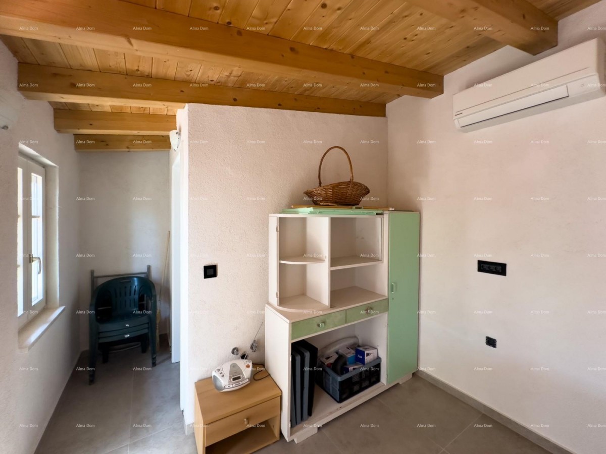 Редкость на рынке!   Istra  Barban 48