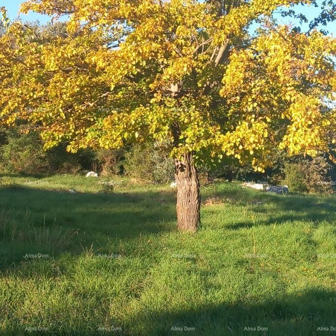 Izvrsna prilika- imanje s kamenom kućom, velikim zemljištem i pomoćnim objektima- blizina Rovinja! 11