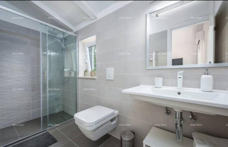 ПАЗИН, ВИЛЛА С БАССЕЙНОМ 9