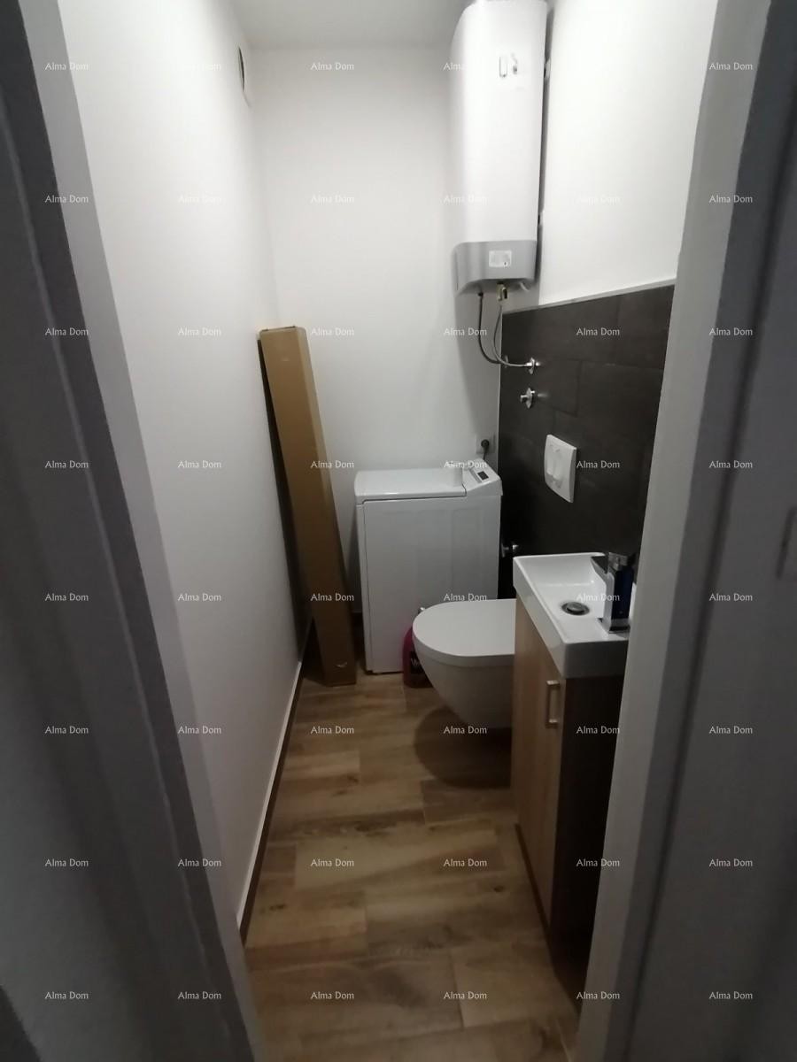 Newly renovated house in Pazin. 8