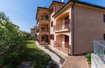 Novigrad, stanovanje na atraktivni lokaciji, blizu morja