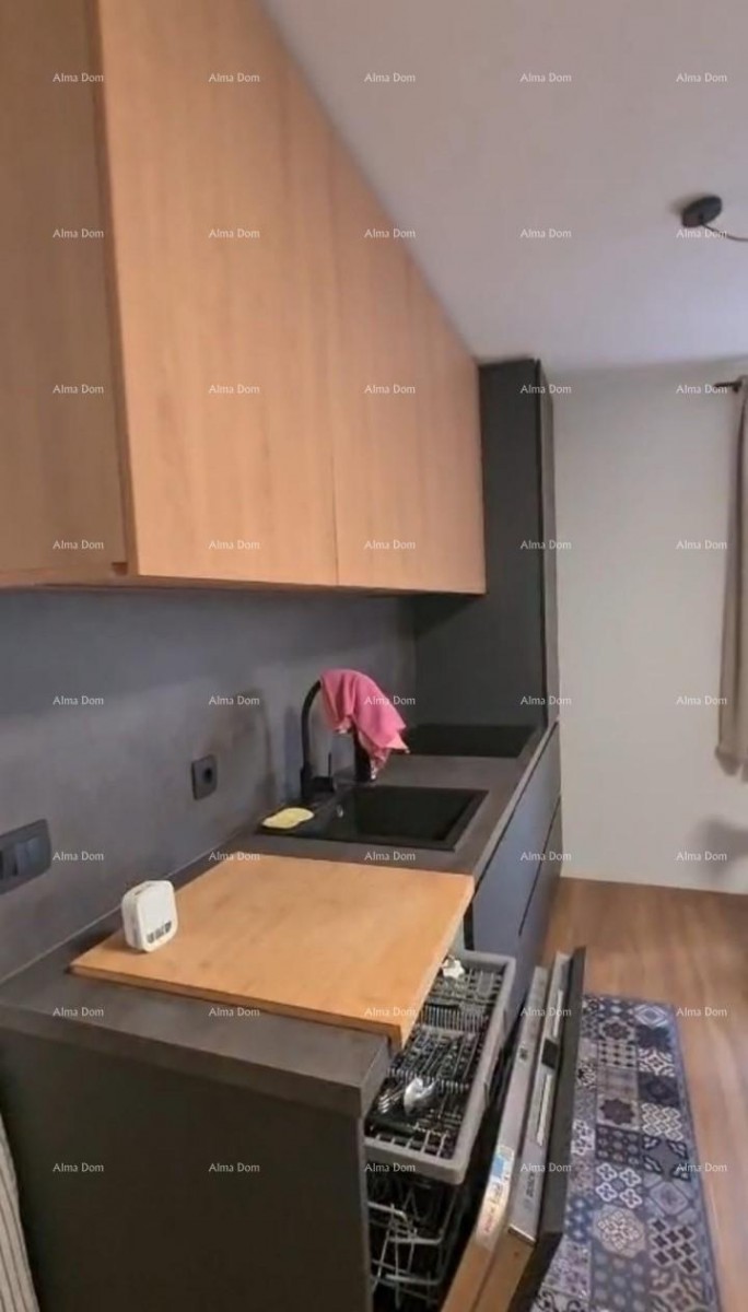 Apartment Novigrad 15