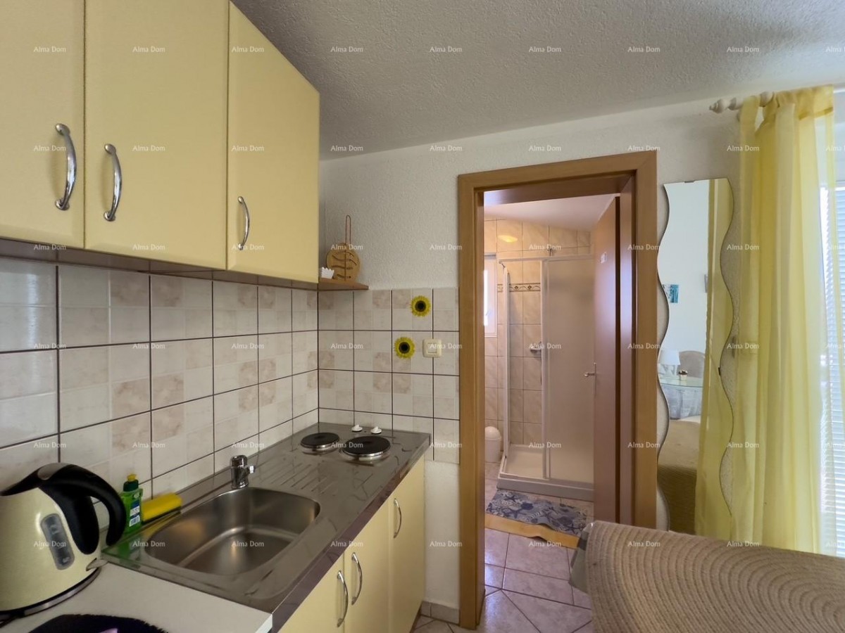 MEDULIN! STUDIO APARTMAN. BLIZINA HOTELA BELVEDERE. 7