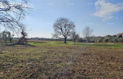 Prodaja građevinskog zemljišta s pogledom na more, Novigrad!