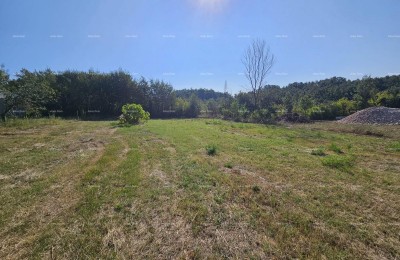 Продажа строительного участка, Жминь