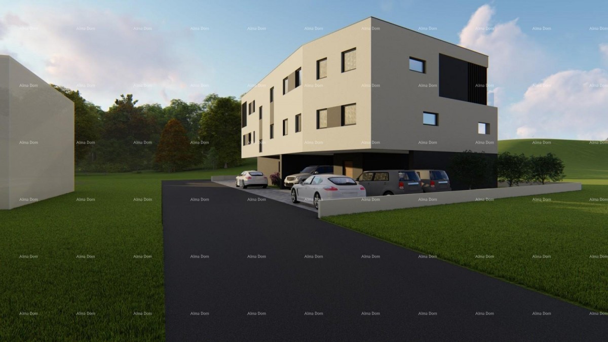 The translation of the title 7