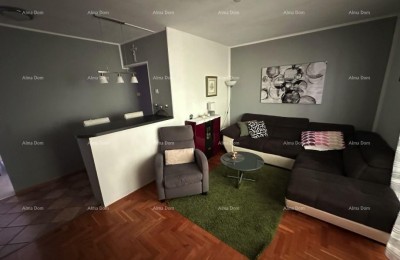 For sale: Apartment in Buje