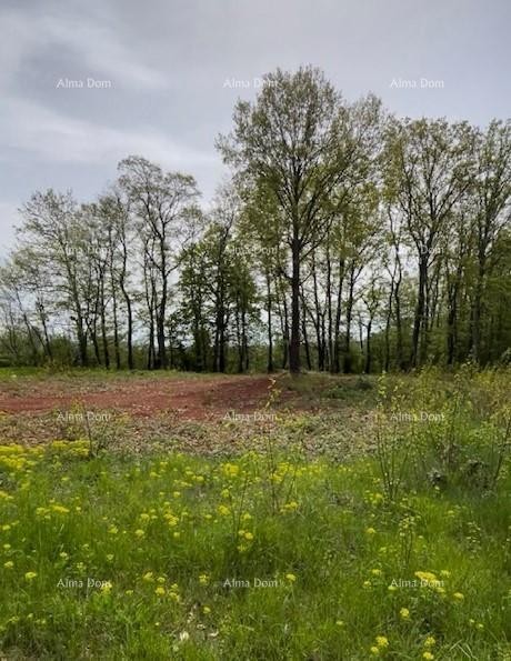 In vendita terreno edificabile con progetto – Barban (1.010 m²) 2