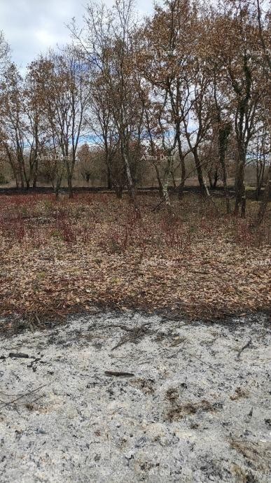 Участок под застройку, 3