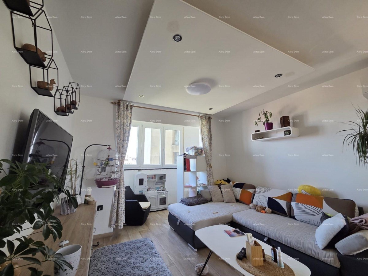 PULA, VIDIKOVAC, RENOVATED APARTMENT 52 m² 1