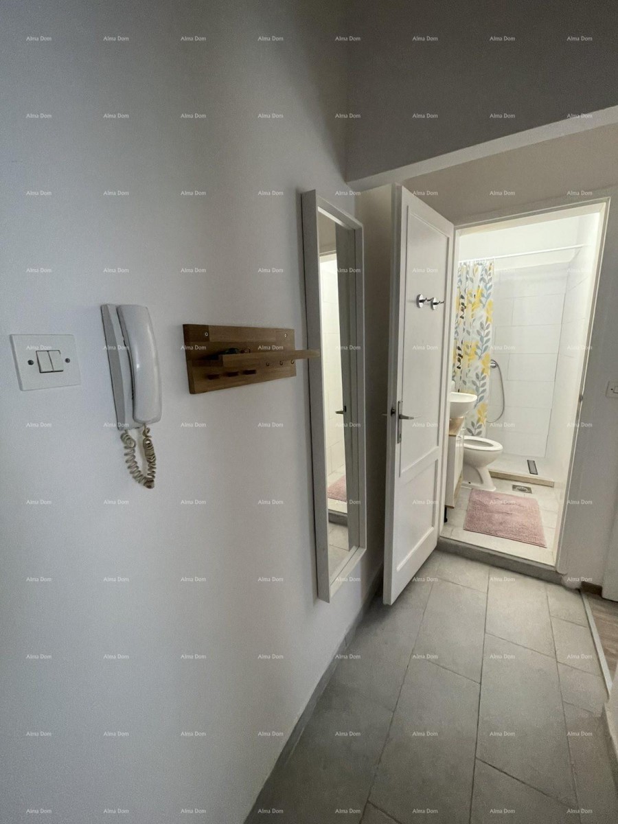 Appartamento arredato di 45 m2 al piano terra nel centro di Pola 12
