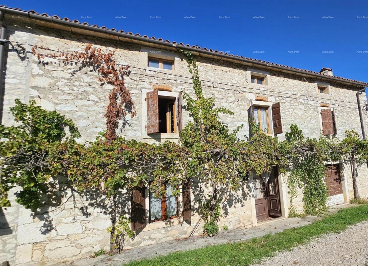 Продажа - аутентичная каменная casa с 2 вспомогательными постройками и просторным двором, Бртонігла! 1