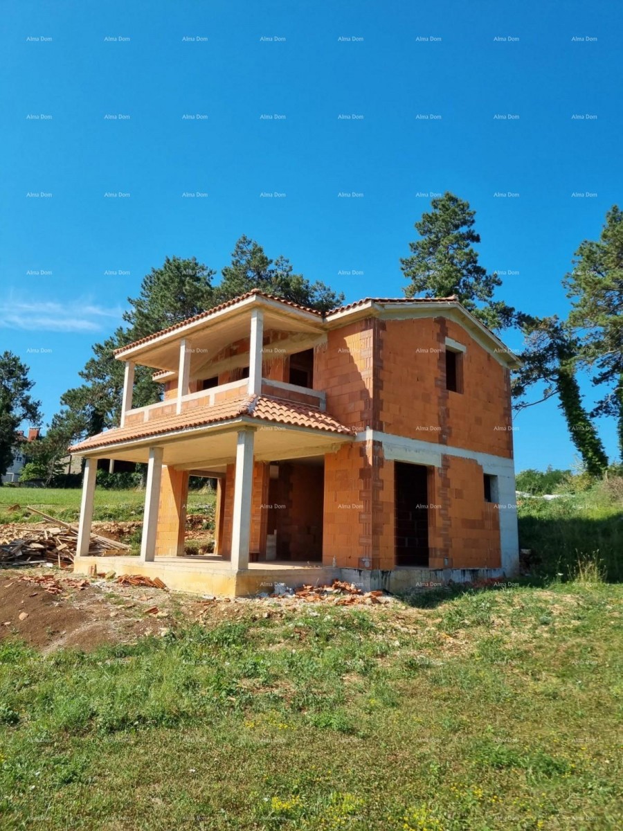 House Pazin 1