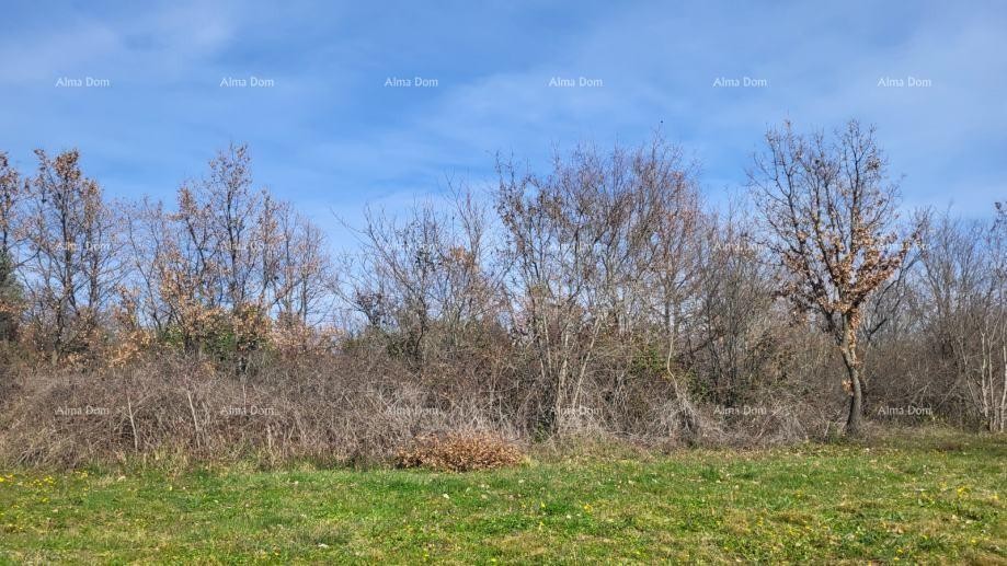 Привлекательный участок под застройку недалеко от Пореча 5