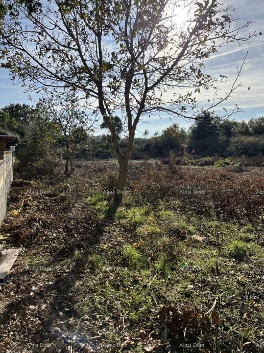 Prodaje se građevinsko zemljište kvadratnog oblika veličine 929 m2,  Ližnjan 1