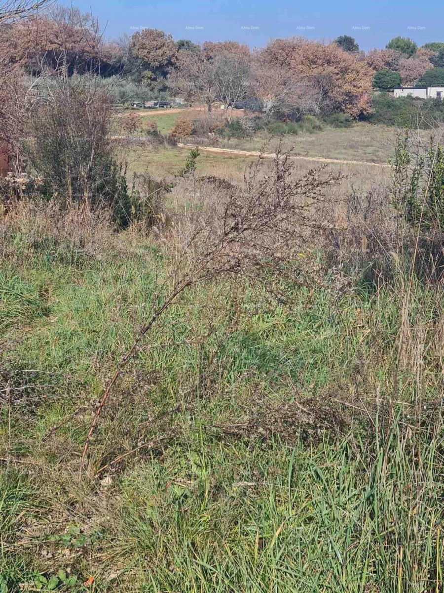 Građevinsko zemljište Vintijan – 800 m2 – uz cestu 7