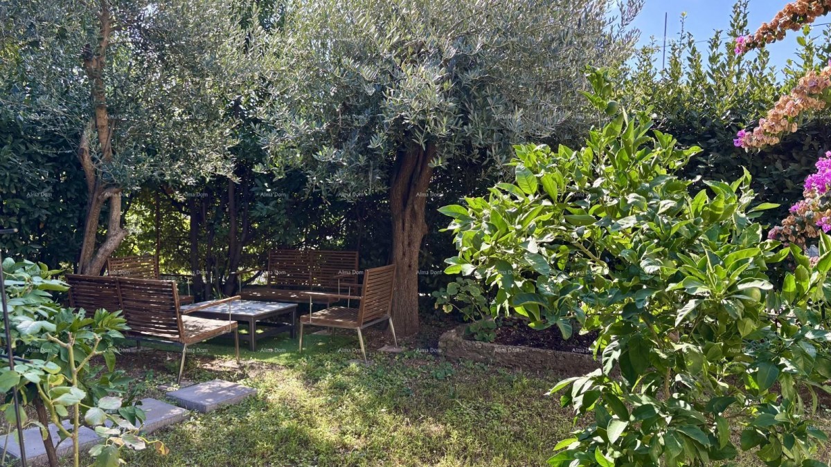 PULA, center – prodaja / stan 55 m² z vrtom in parkirnim mestom 18