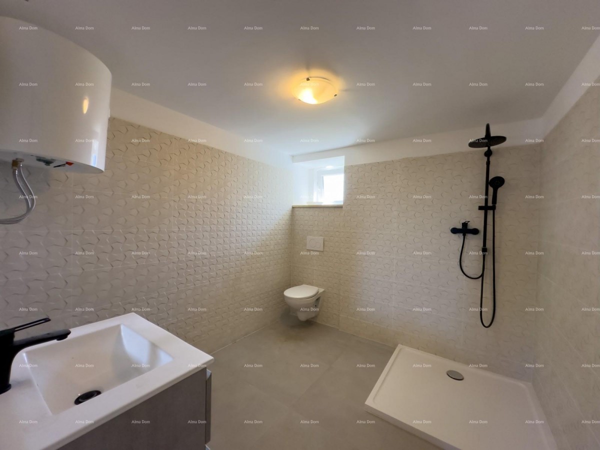 Prodajemo renoviranu Istarsku kamenu kuću u okolici Žminja! 4