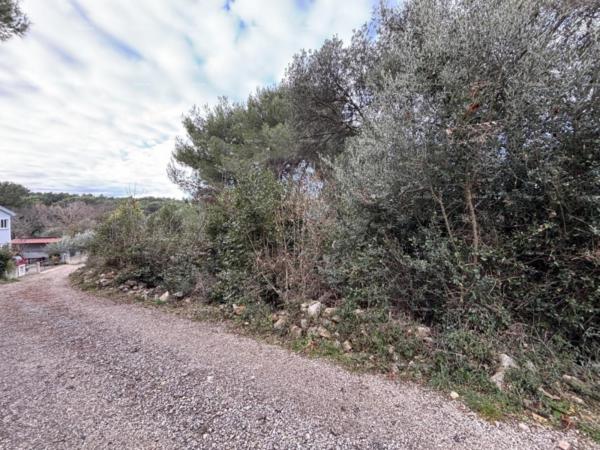 Premantura, construction land 1,600 m² 3
