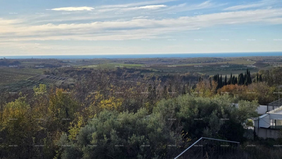 Buje – terreno attraente con vista mare 1