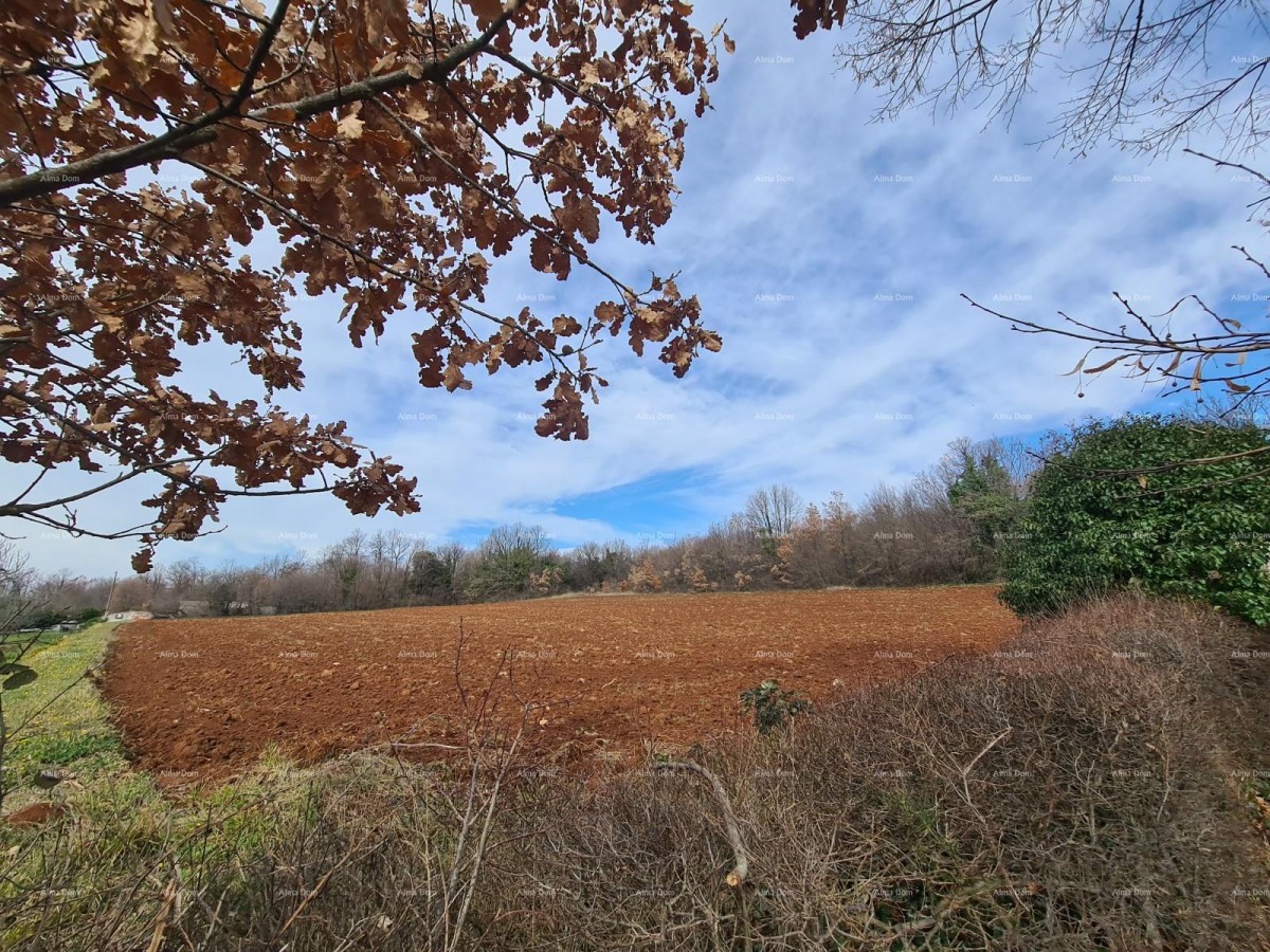 V bližini Barbana, Gočan. 1