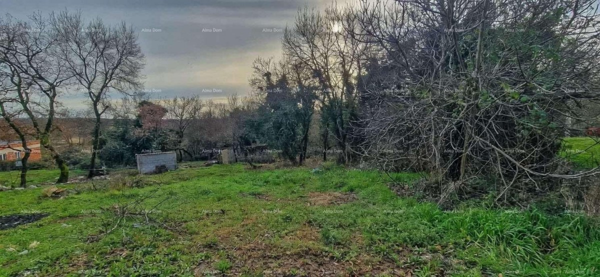 Nova Vas (Brtonigla) – Gradbena zemljišča 555 m² 1