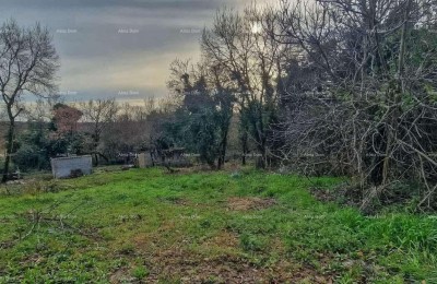 Nova Vas (Brtonigla) – Gradbena zemljišča 555 m²