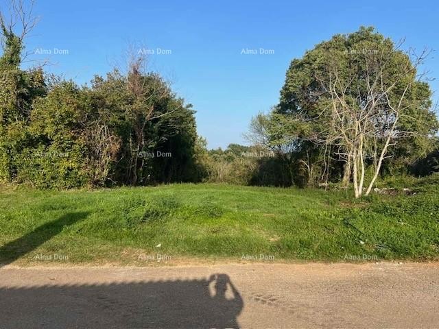 Земля с разрешением на строительство и оплаченными коммунальными услугами в Гочане 7