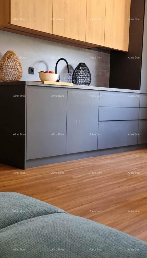 Apartment Novigrad 7