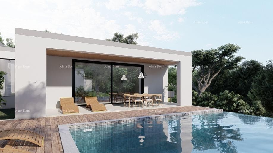 Moderna vila s preljevnim bazenom i luksuznim interijerom – Sveta Nedelja 1