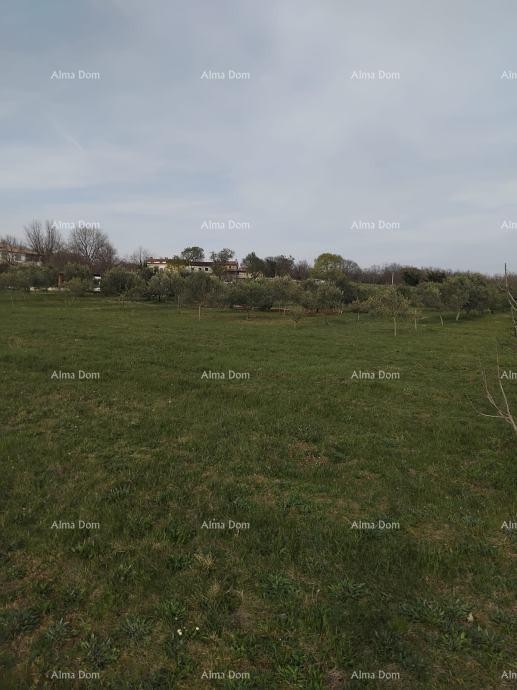 Atraktivno zemljišče, 5.716 m²,  okolica Poreča 4