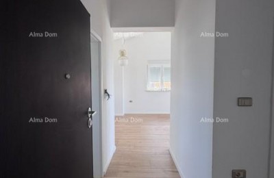 Apartment Medulin