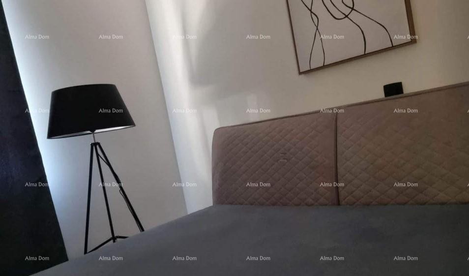 Apartment Novigrad 8